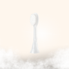 Brush Attachment